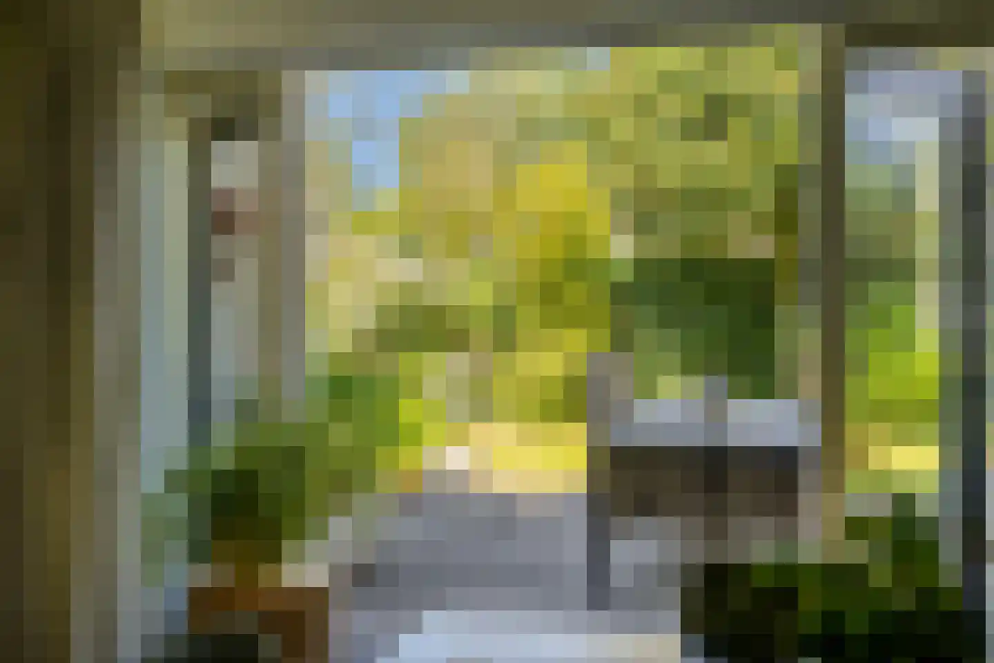 Potmarge 18 Zwolle thumbnail 16