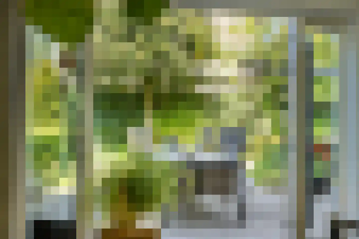Potmarge 18 Zwolle thumbnail 17