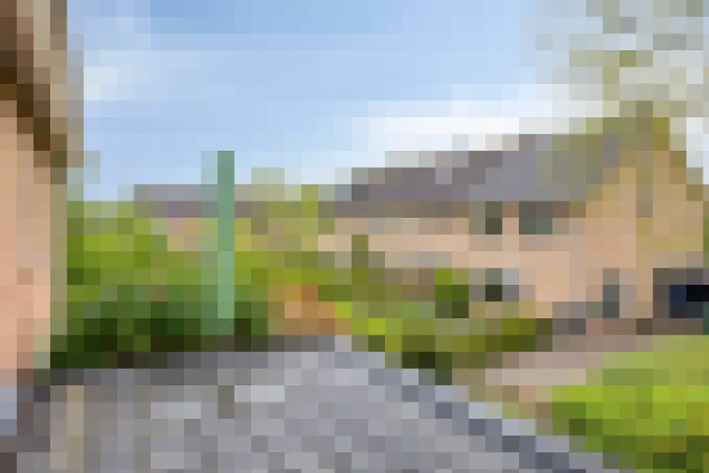 Potmarge 18 Zwolle thumbnail 36
