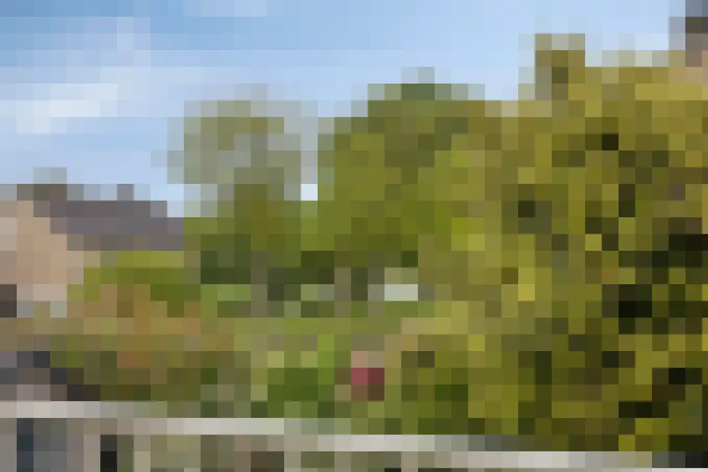 Potmarge 18 Zwolle thumbnail 37