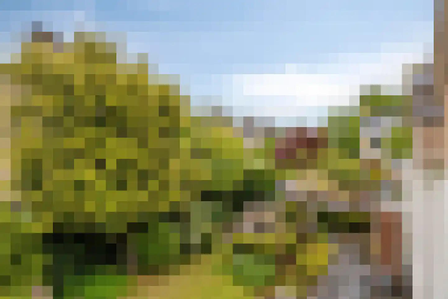 Potmarge 18 Zwolle thumbnail 38