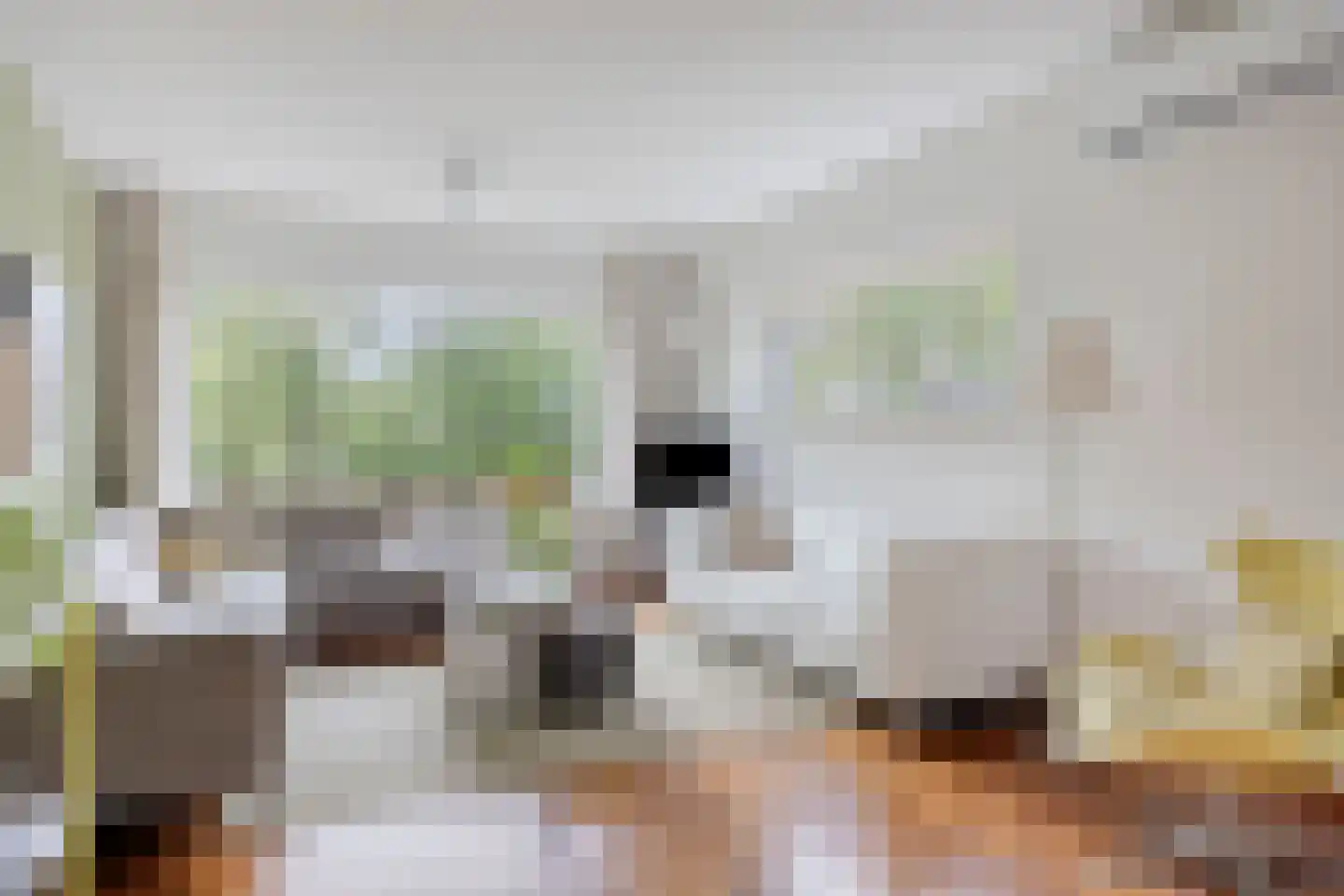 Potmarge 18 Zwolle thumbnail 4