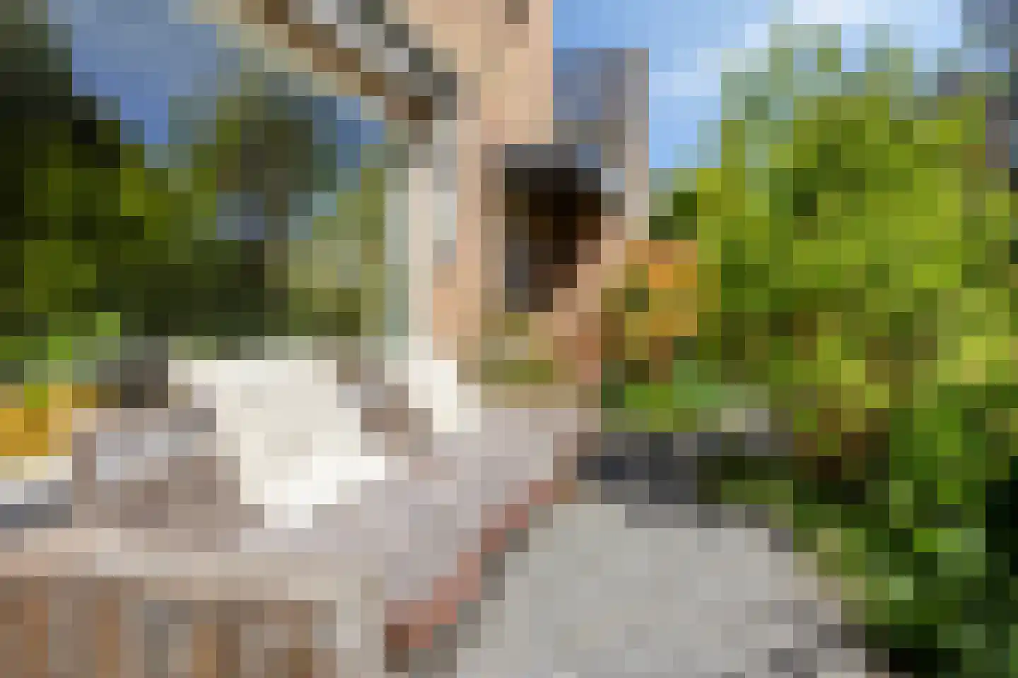 Potmarge 18 Zwolle thumbnail 46