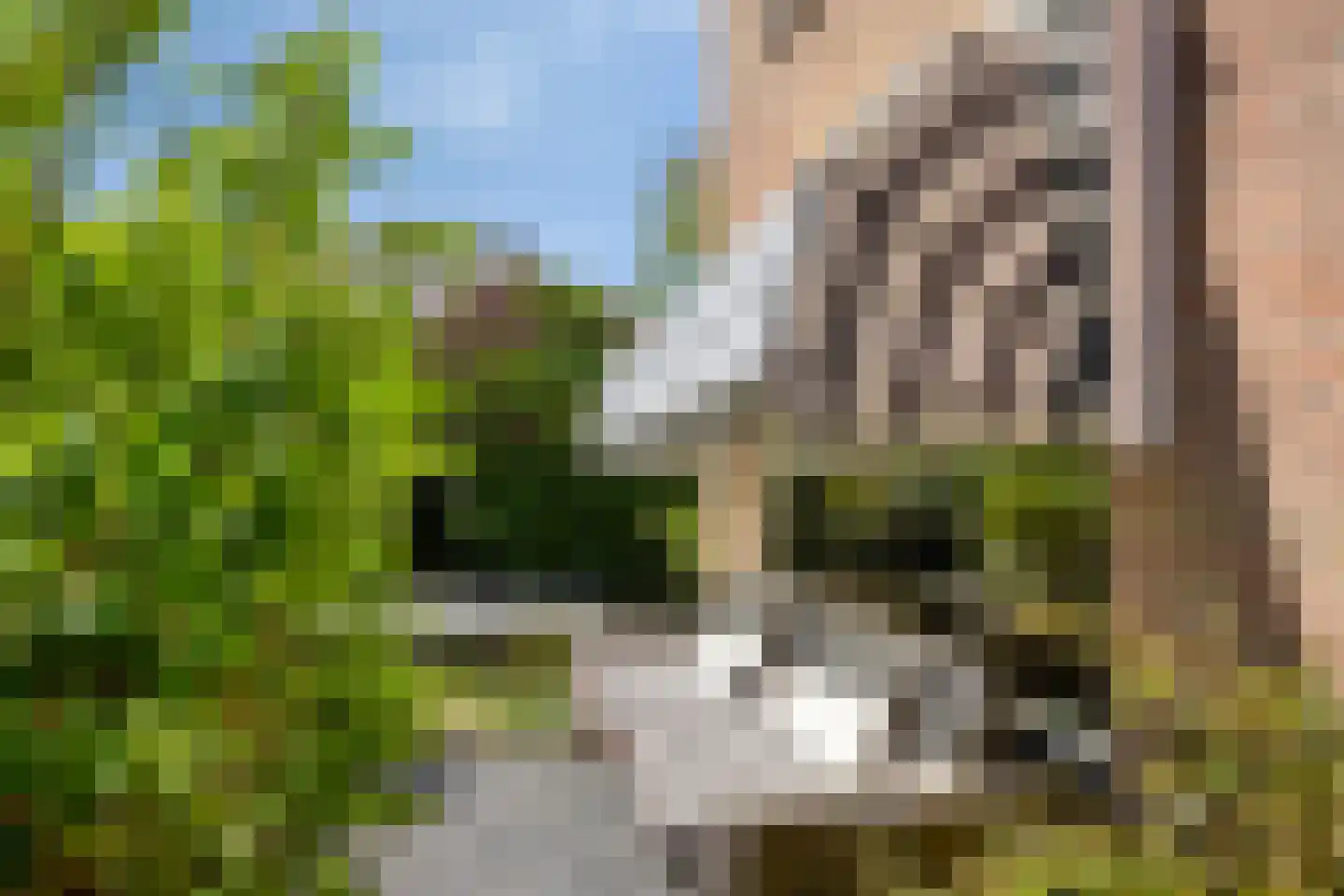 Potmarge 18 Zwolle thumbnail 47