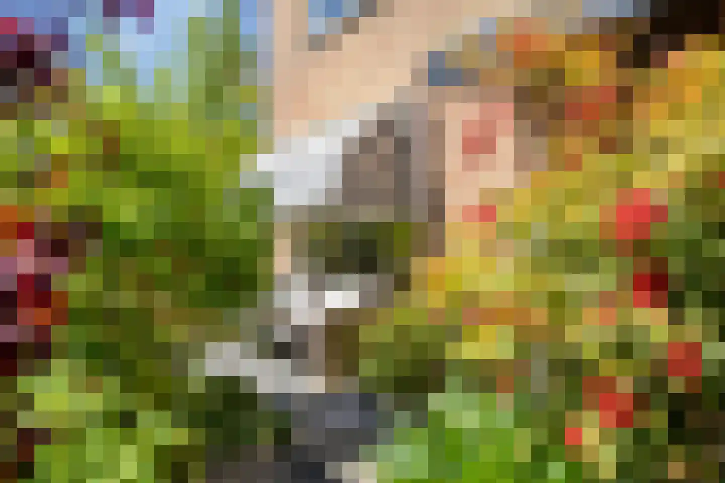Potmarge 18 Zwolle thumbnail 48