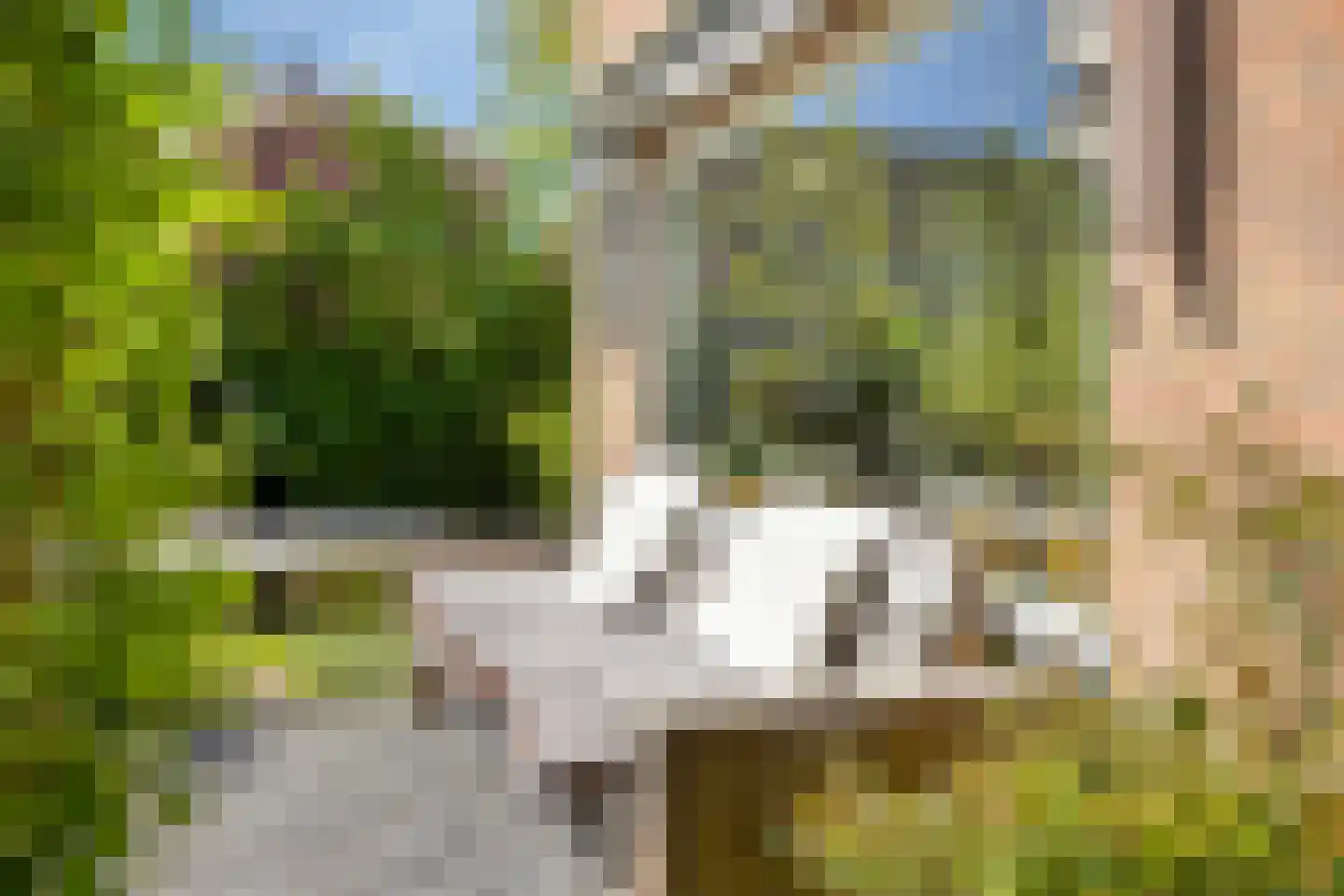 Potmarge 18 Zwolle thumbnail 49