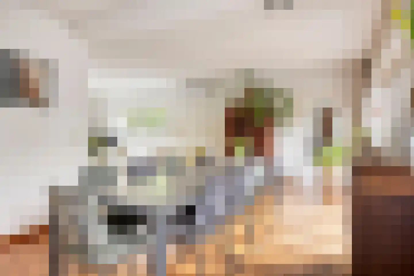 Potmarge 18 Zwolle thumbnail 5