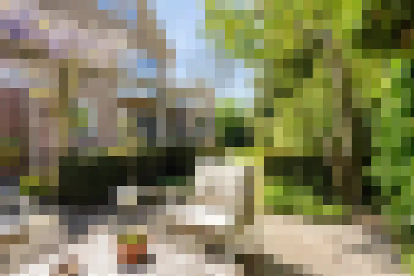 Potmarge 18 Zwolle thumbnail 52