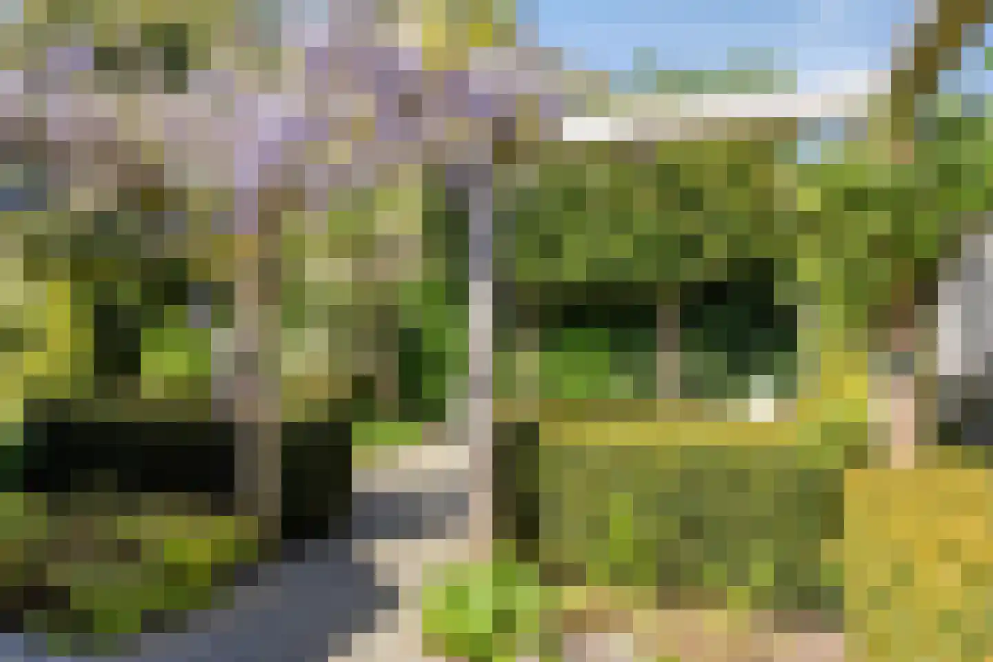 Potmarge 18 Zwolle thumbnail 54