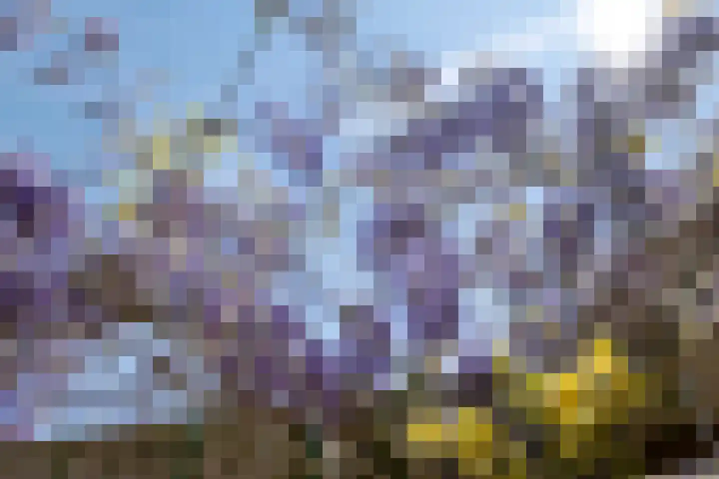 Potmarge 18 Zwolle thumbnail 55