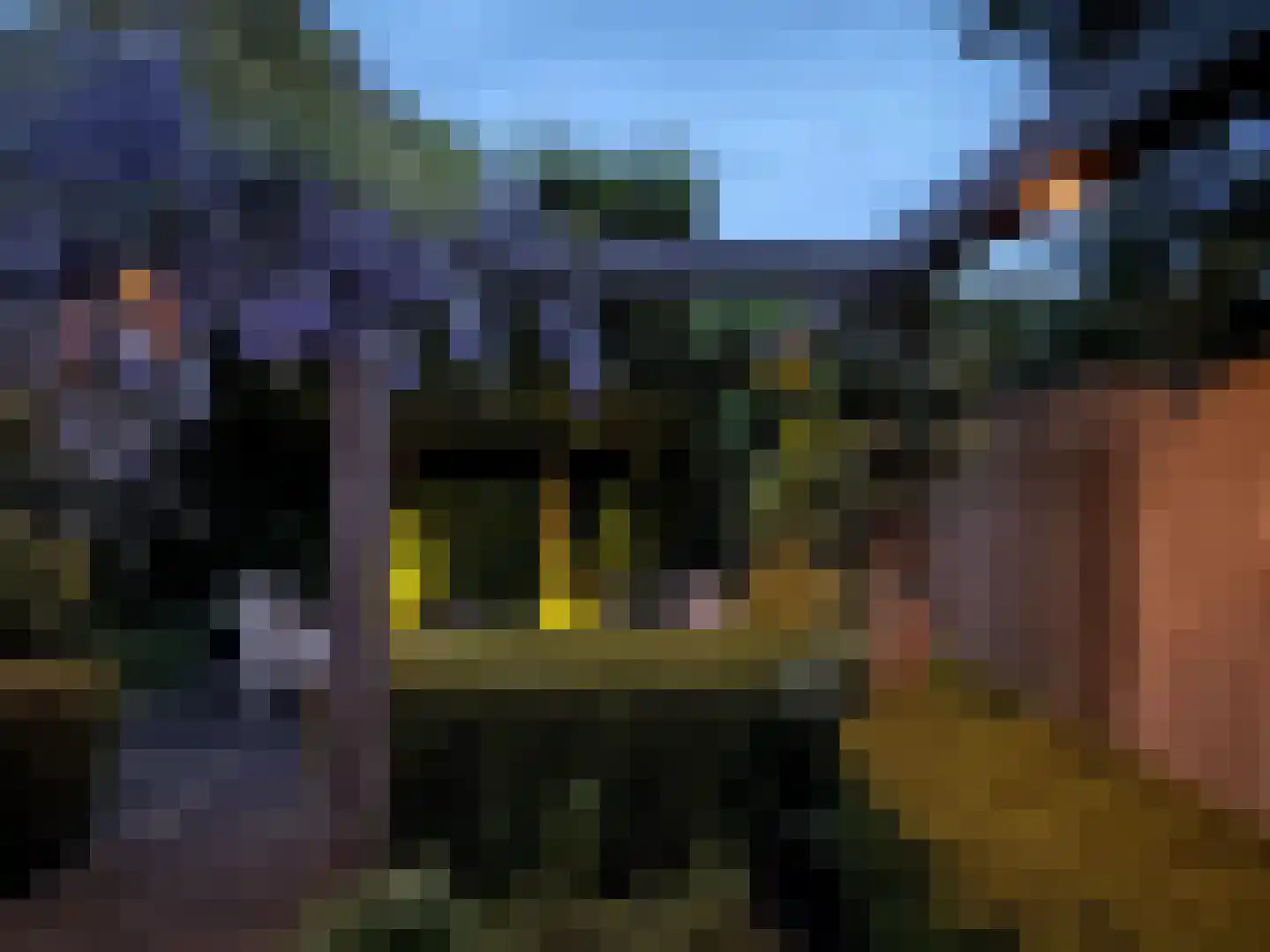 Potmarge 18 Zwolle thumbnail 56