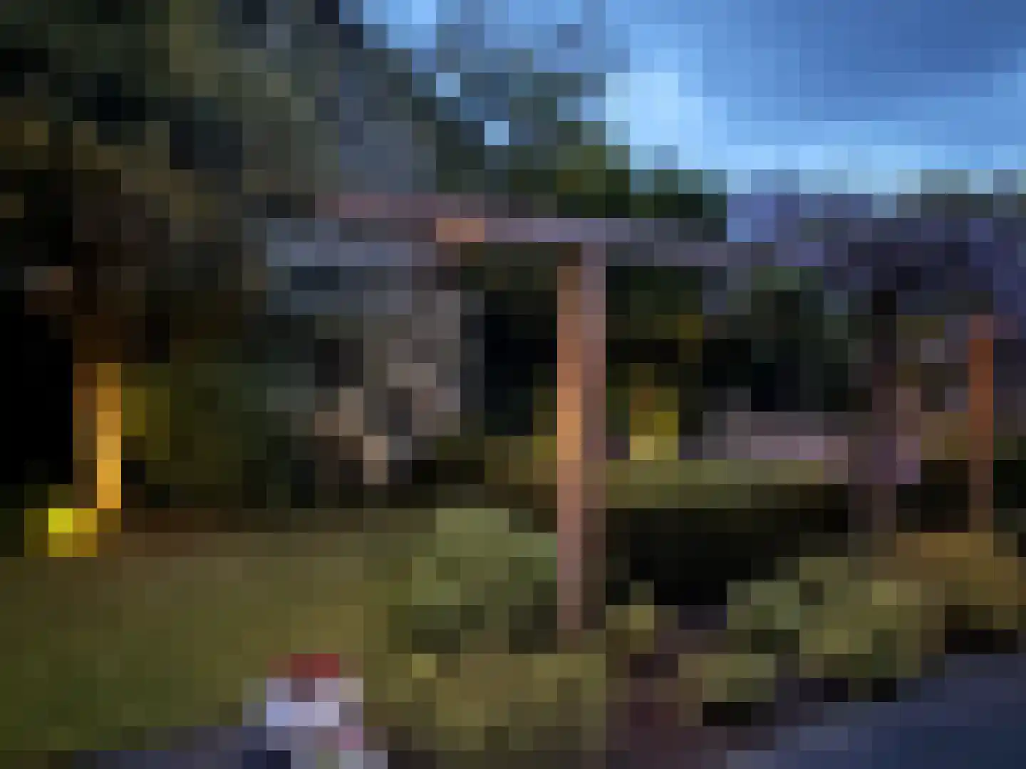 Potmarge 18 Zwolle thumbnail 58