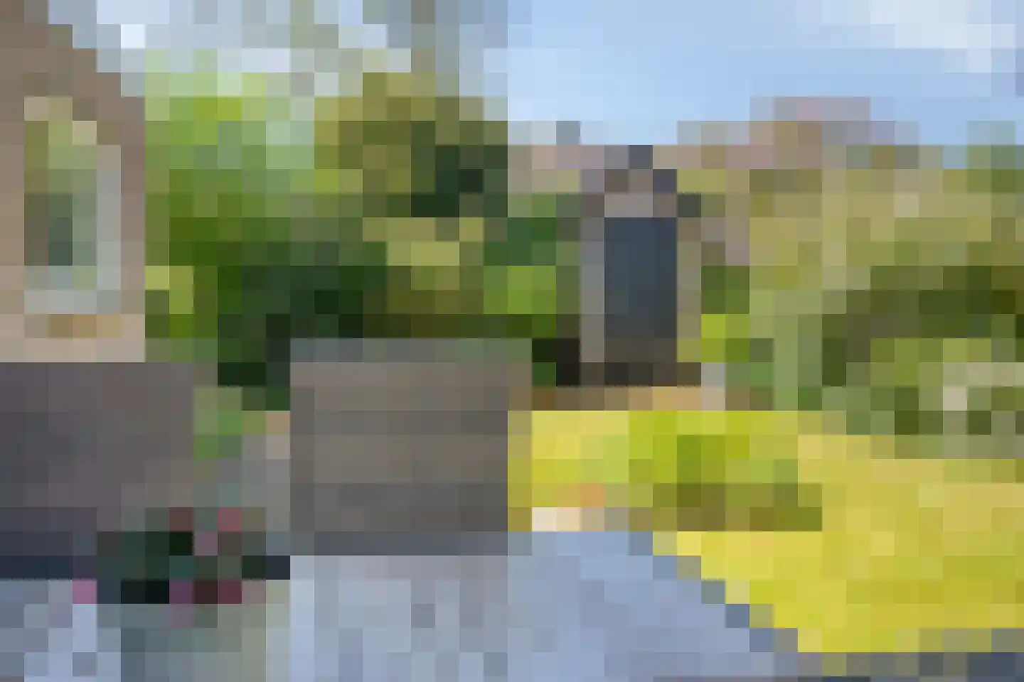 Potmarge 18 Zwolle thumbnail 59