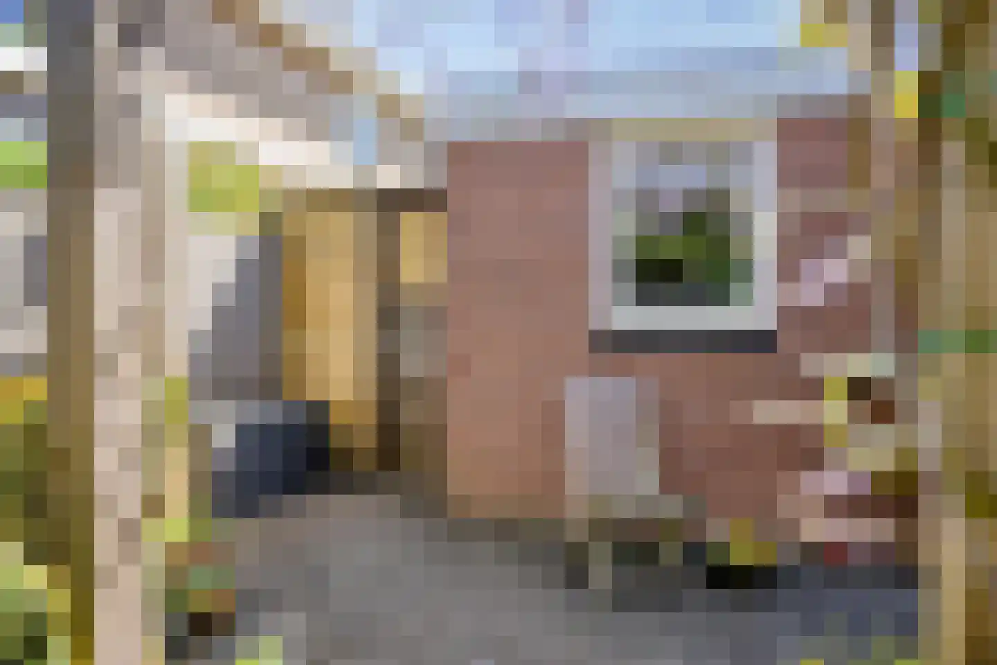 Potmarge 18 Zwolle thumbnail 60