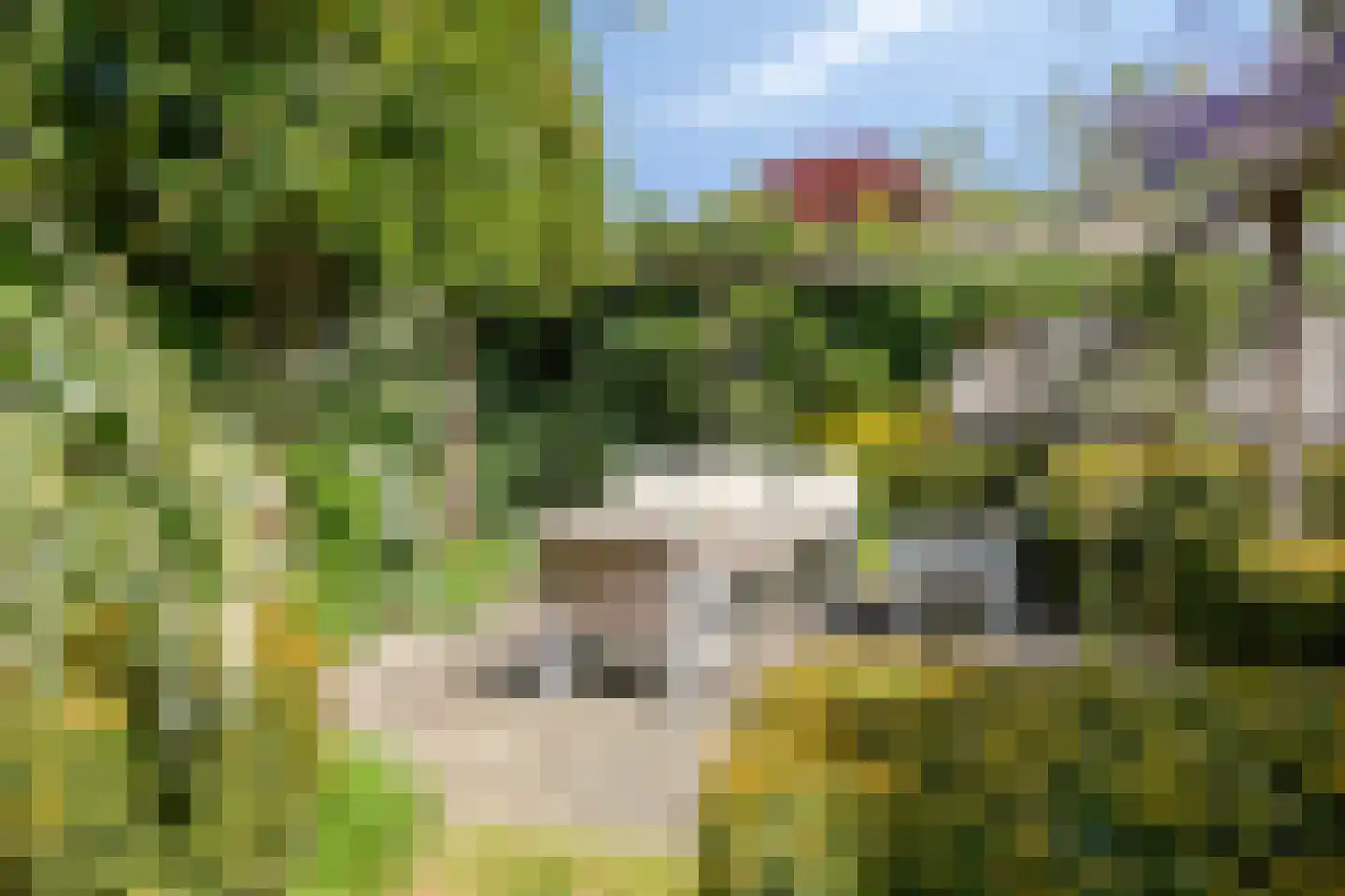 Potmarge 18 Zwolle thumbnail 62