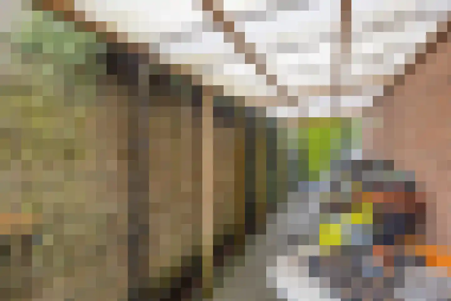 Potmarge 18 Zwolle thumbnail 65