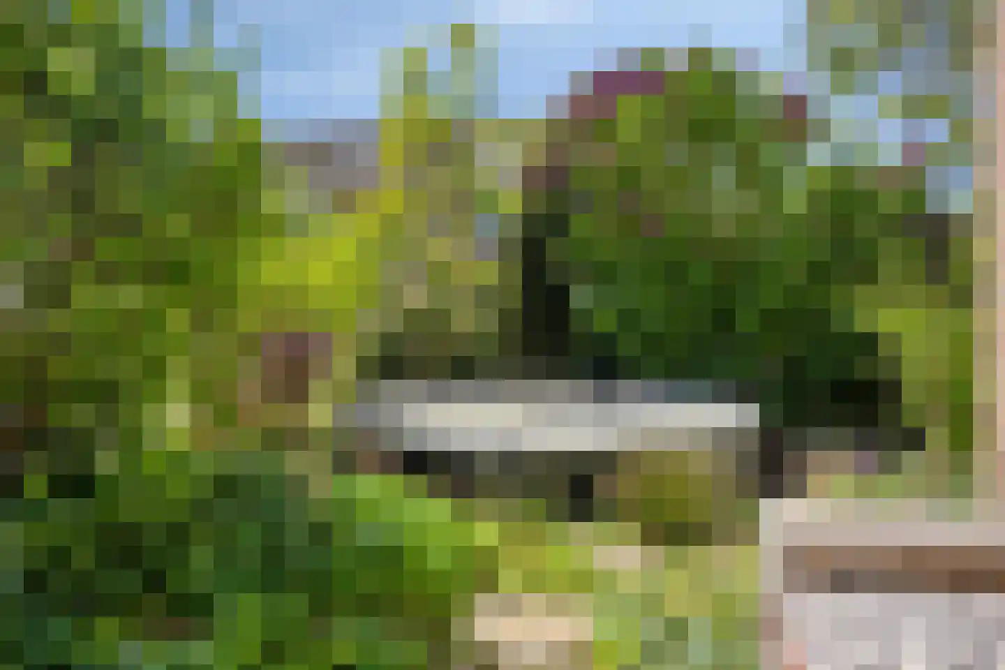 Potmarge 18 Zwolle thumbnail 66