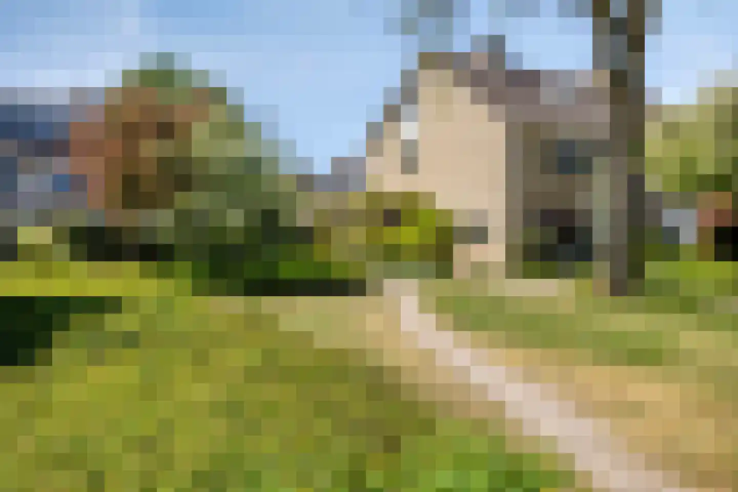 Potmarge 18 Zwolle thumbnail 72