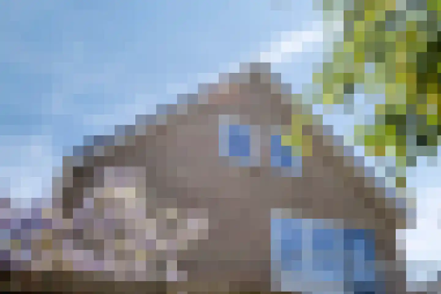Potmarge 18 Zwolle thumbnail 74