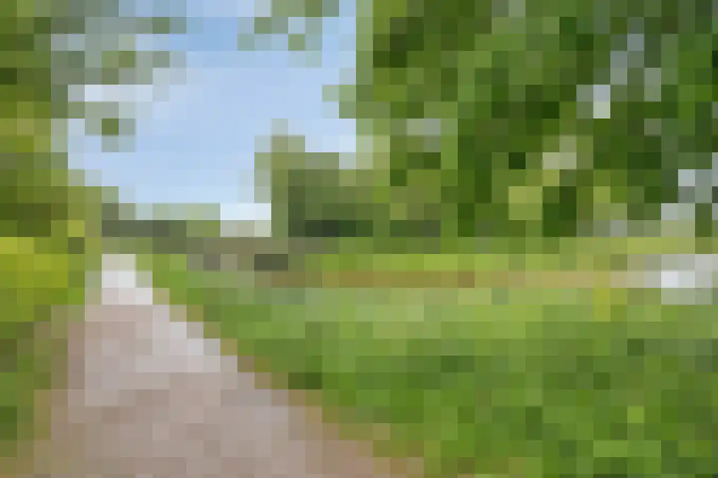 Potmarge 18 Zwolle thumbnail 75