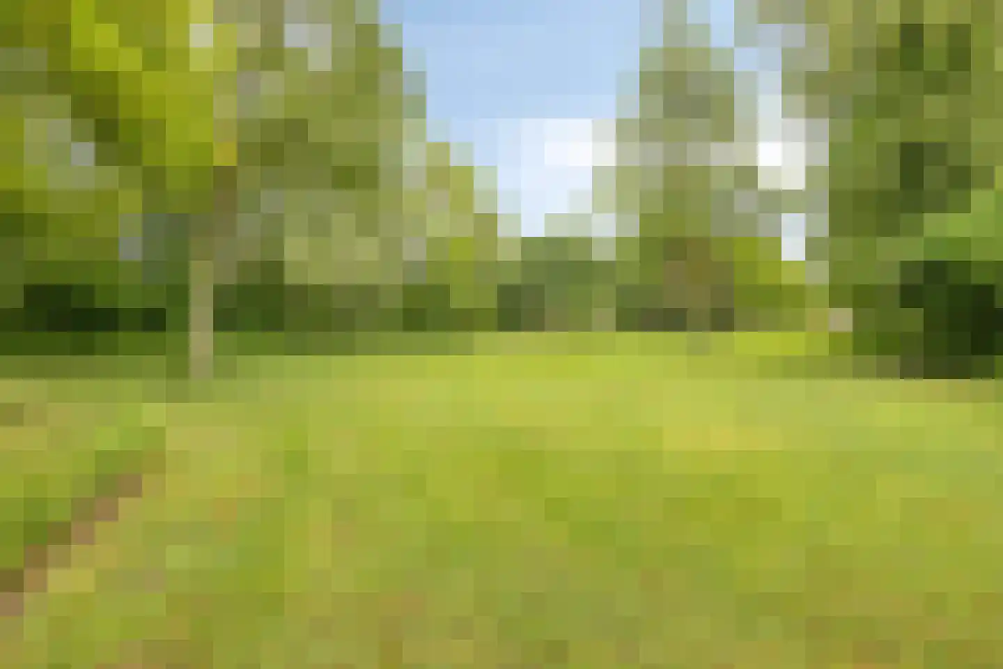 Potmarge 18 Zwolle thumbnail 77