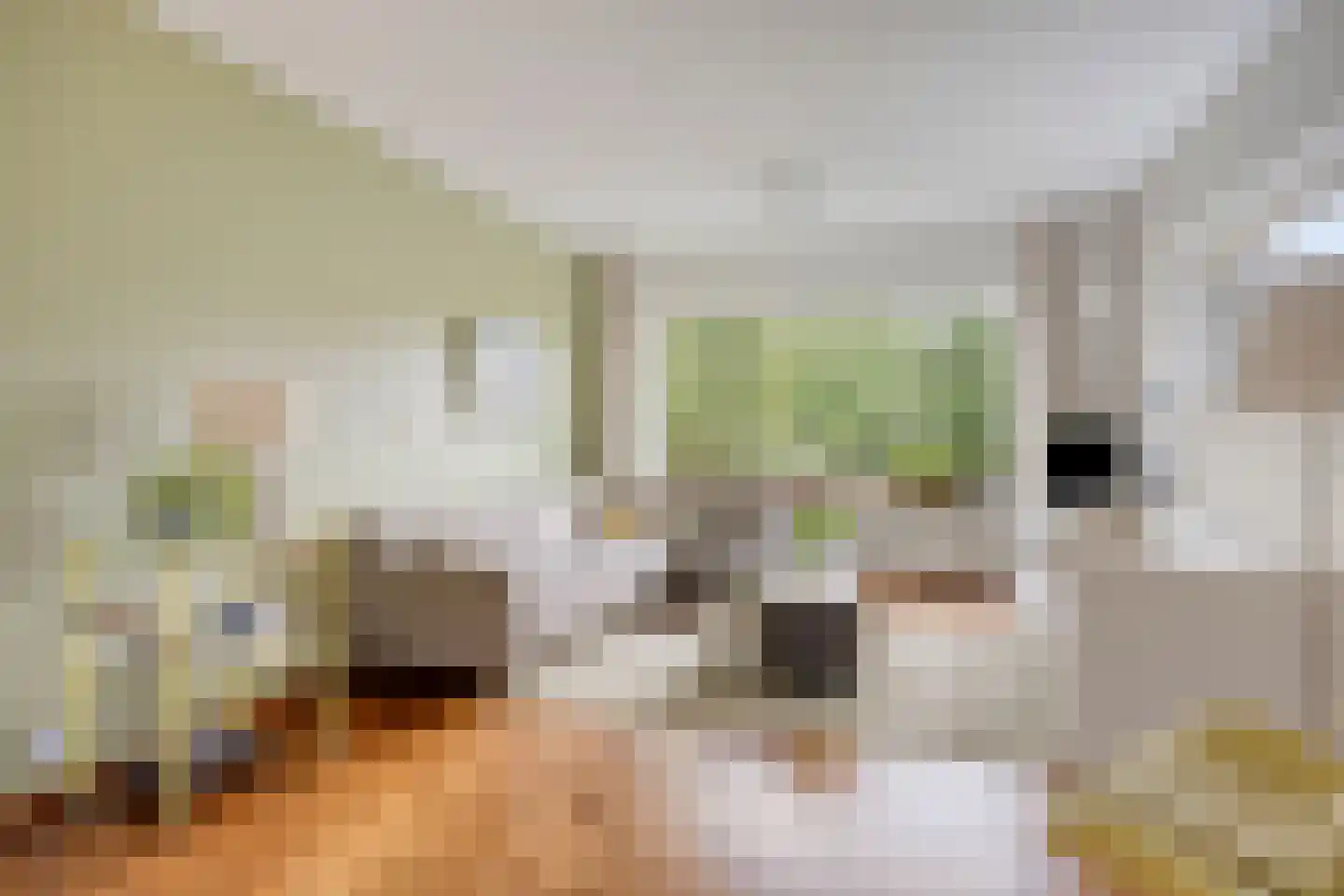 Potmarge 18 Zwolle thumbnail 9