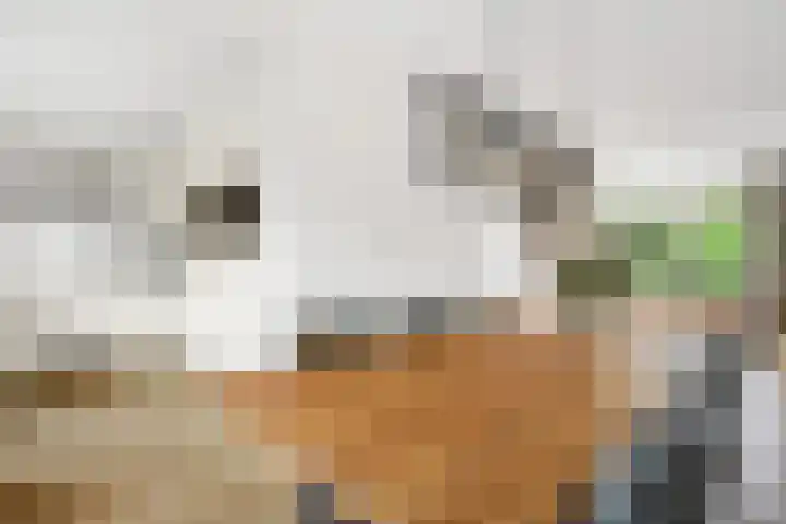 Potmarge 36 Zwolle thumbnail 10