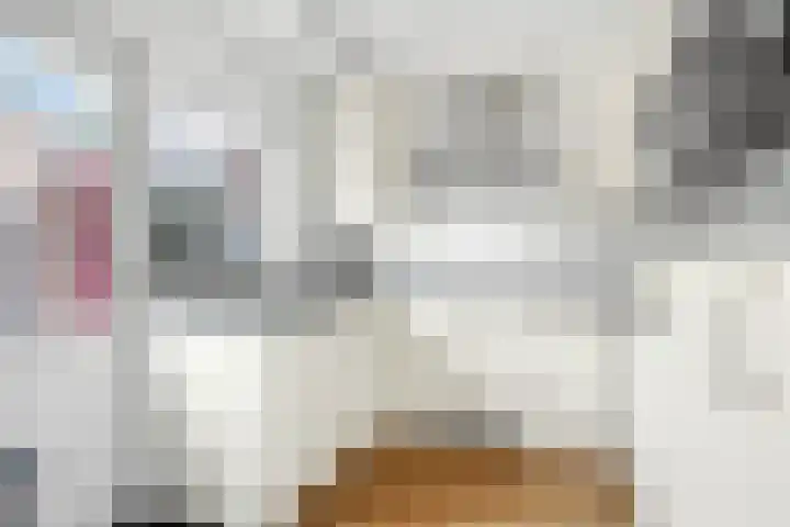 Potmarge 36 Zwolle thumbnail 12