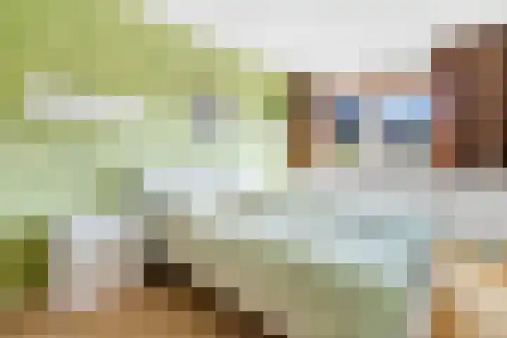 Potmarge 36 Zwolle thumbnail 16