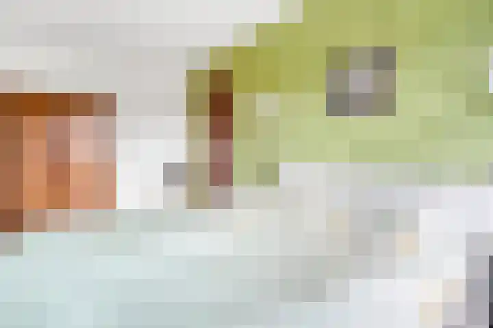 Potmarge 36 Zwolle thumbnail 17