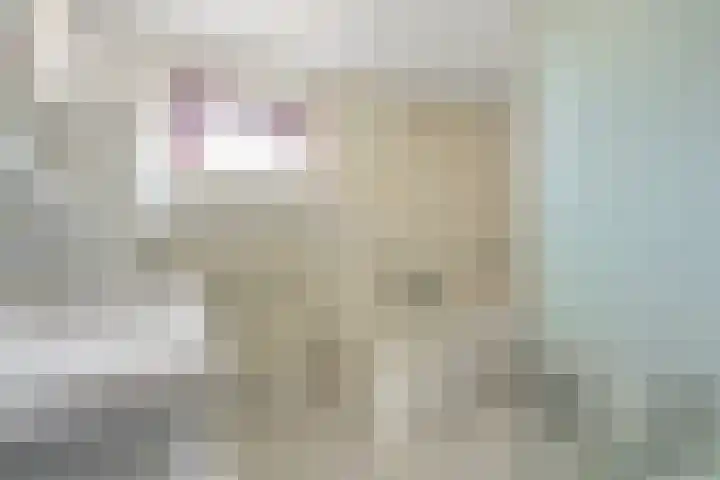 Potmarge 36 Zwolle thumbnail 22