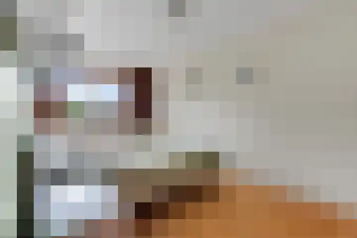 Potmarge 36 Zwolle thumbnail 25