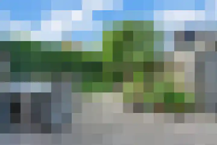 Potmarge 36 Zwolle thumbnail 28