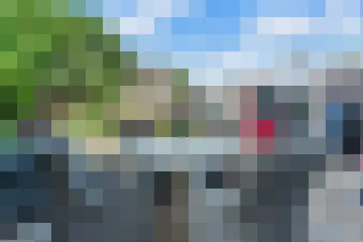 Potmarge 36 Zwolle thumbnail 29