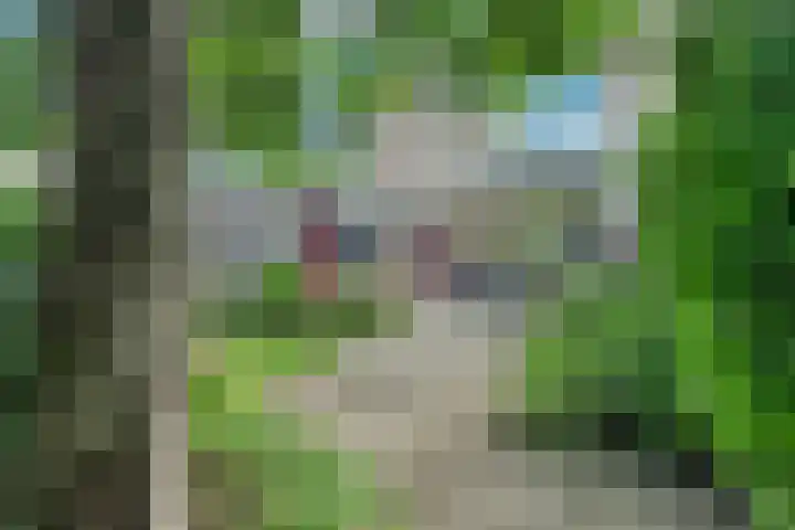 Potmarge 36 Zwolle thumbnail 30