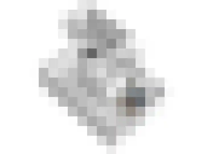 Potmarge 36 Zwolle thumbnail 37