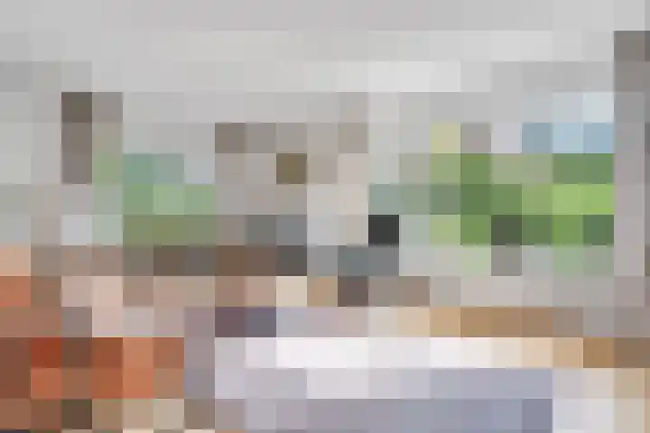 Potmarge 36 Zwolle thumbnail 4