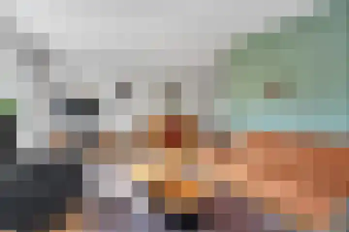 Potmarge 36 Zwolle thumbnail 6