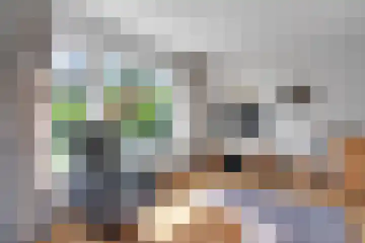 Potmarge 36 Zwolle thumbnail 7