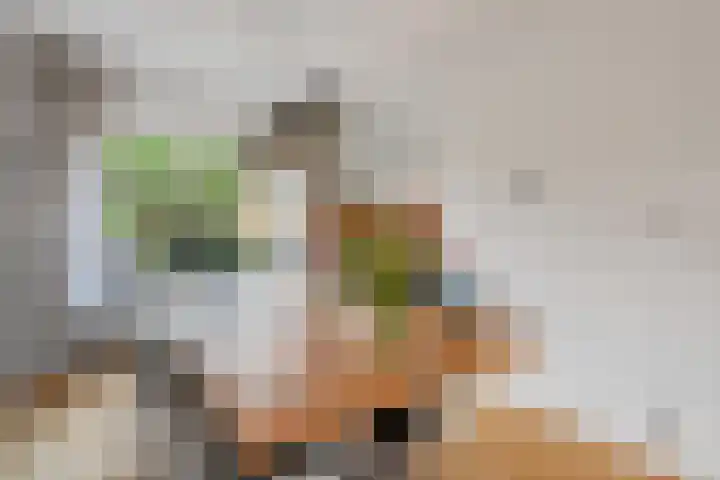 Potmarge 36 Zwolle thumbnail 8