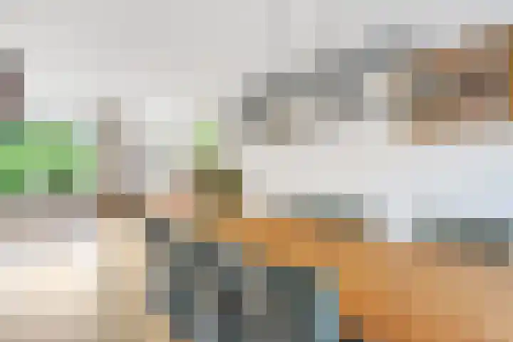 Potmarge 36 Zwolle thumbnail 9