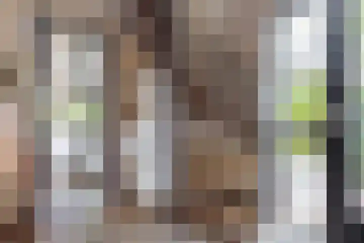 Potmarge 52 Zwolle thumbnail 11