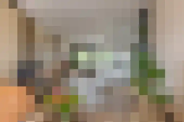 Potmarge 52 Zwolle thumbnail 18