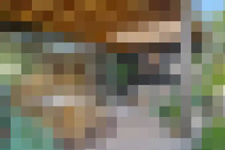Potmarge 52 Zwolle thumbnail 30