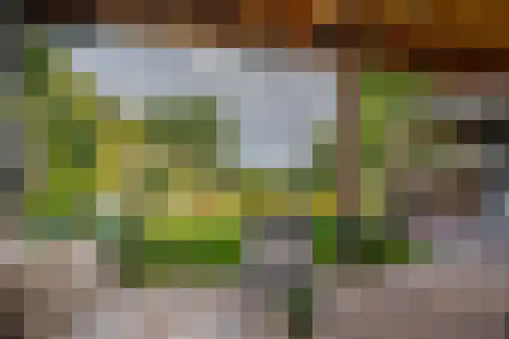 Potmarge 52 Zwolle thumbnail 32