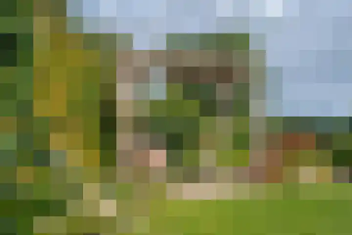Potmarge 52 Zwolle thumbnail 33