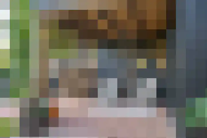 Potmarge 52 Zwolle thumbnail 35