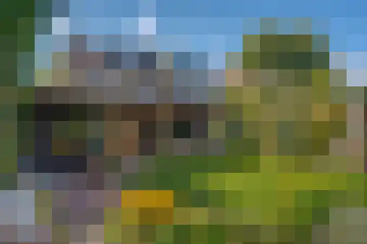 Potmarge 52 Zwolle thumbnail 36
