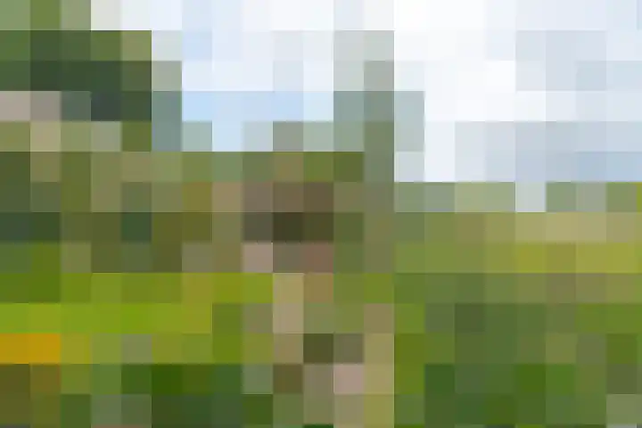 Potmarge 52 Zwolle thumbnail 38