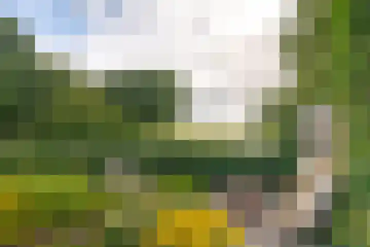Potmarge 52 Zwolle thumbnail 39